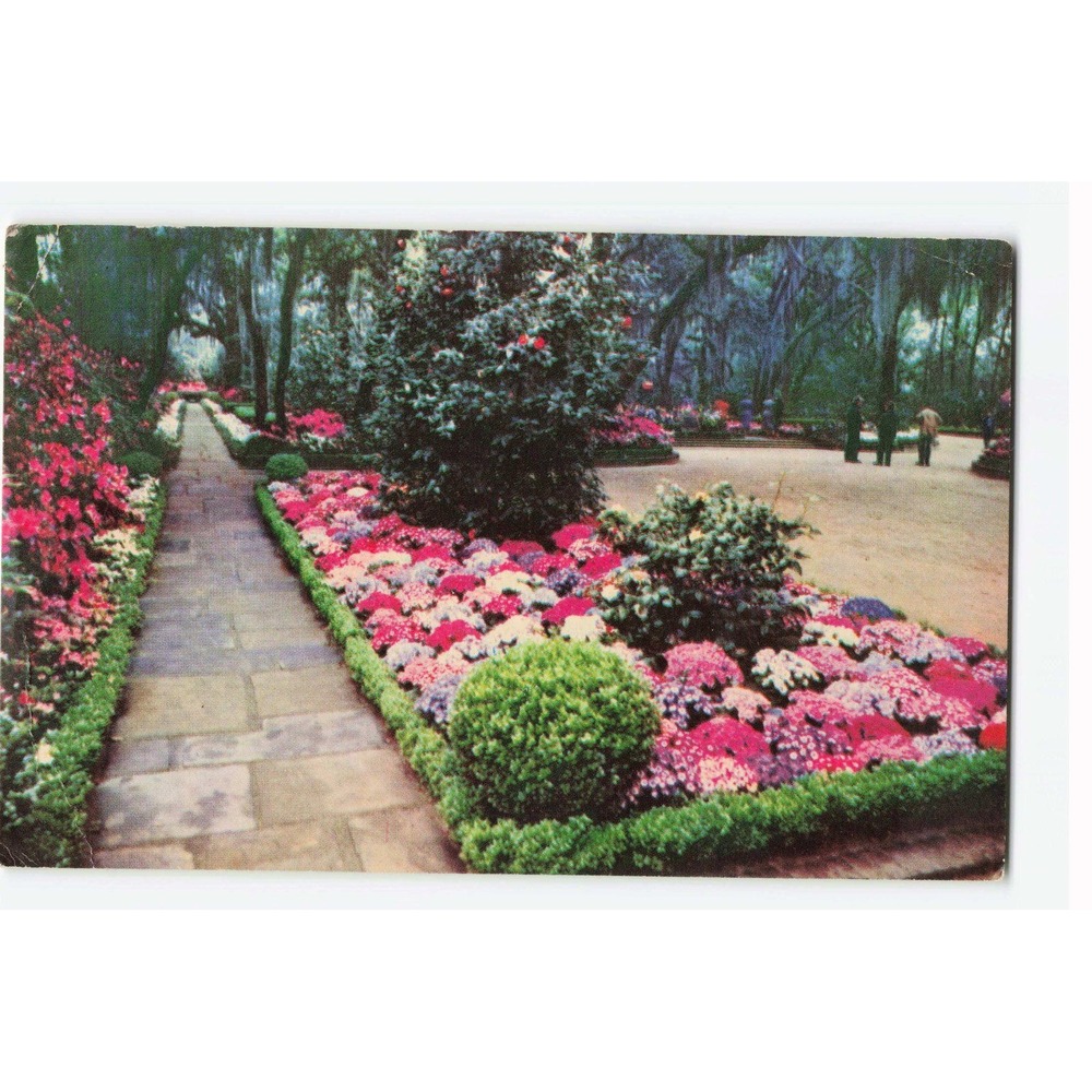 Vintage Bellingrath Gardens Mobile Alabama Postcard 1971 Postmarked Deep South
